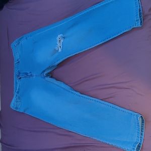 Blue High Waisted Jeans